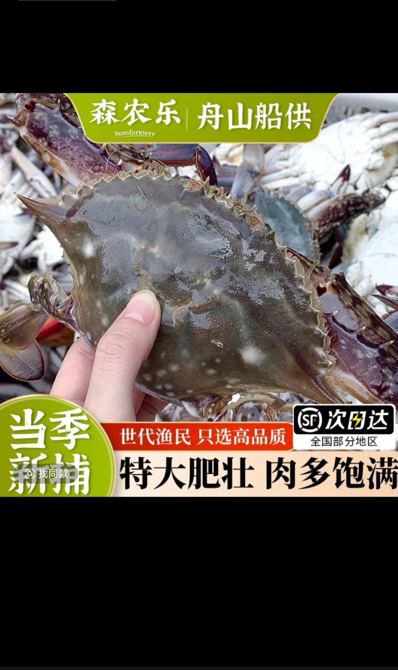舟山梭子蟹鲜活冻新鲜特大海鲜海蟹飞蟹3-4两3斤多只多规