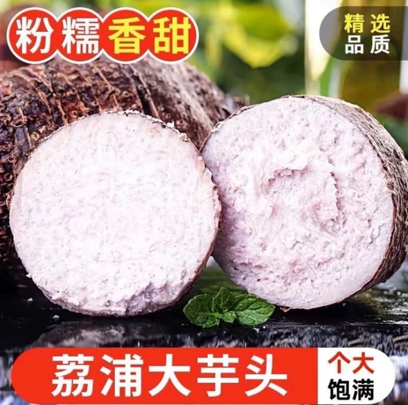 3万亩基地大量供应芋头种子种苗