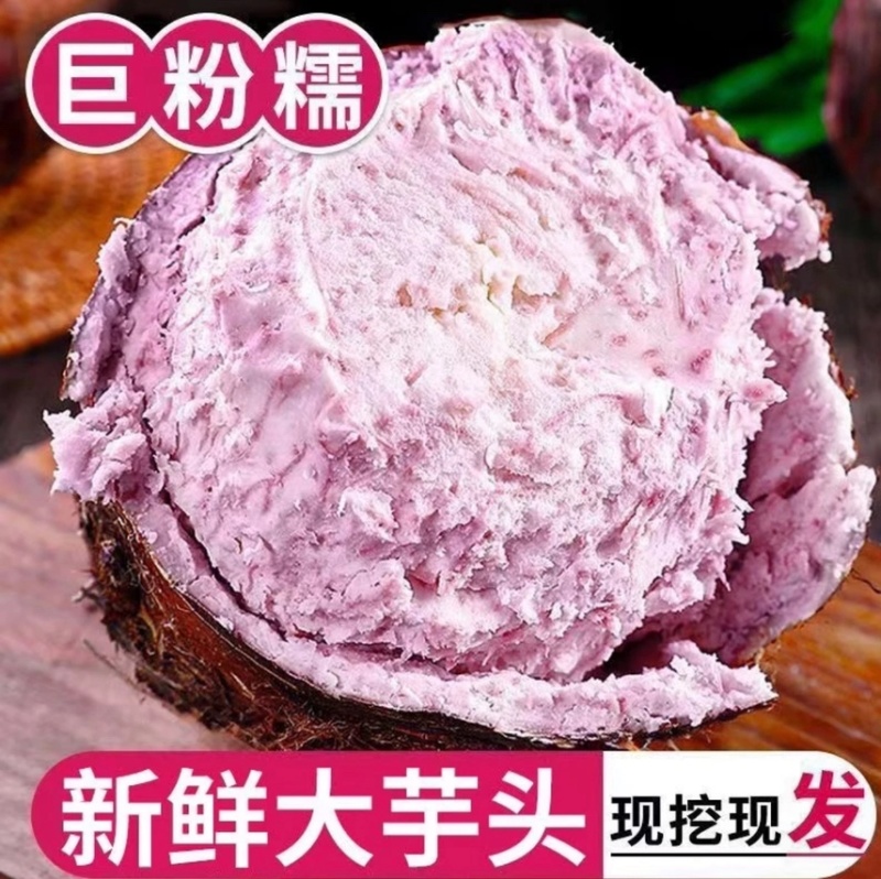 3万亩基地大量供应芋头种子种苗