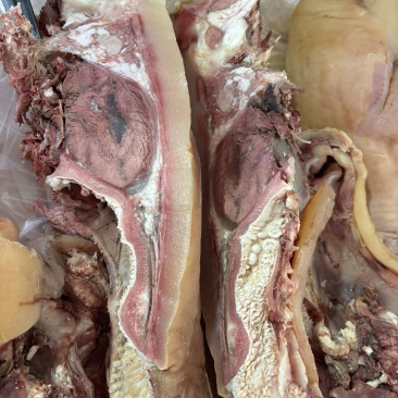 熟牛头肉