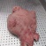 熟牛头肉