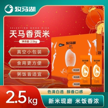 牧马湖新米天马香贡米5斤（含1斤试吃）长粒香猫牙米丝苗米