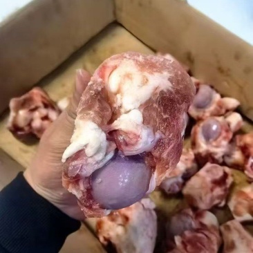 大头棒骨满肉棒骨