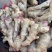 热推鲜姜【精品红芽黄姜】产地批发一手货源坏烂包赔全国代发