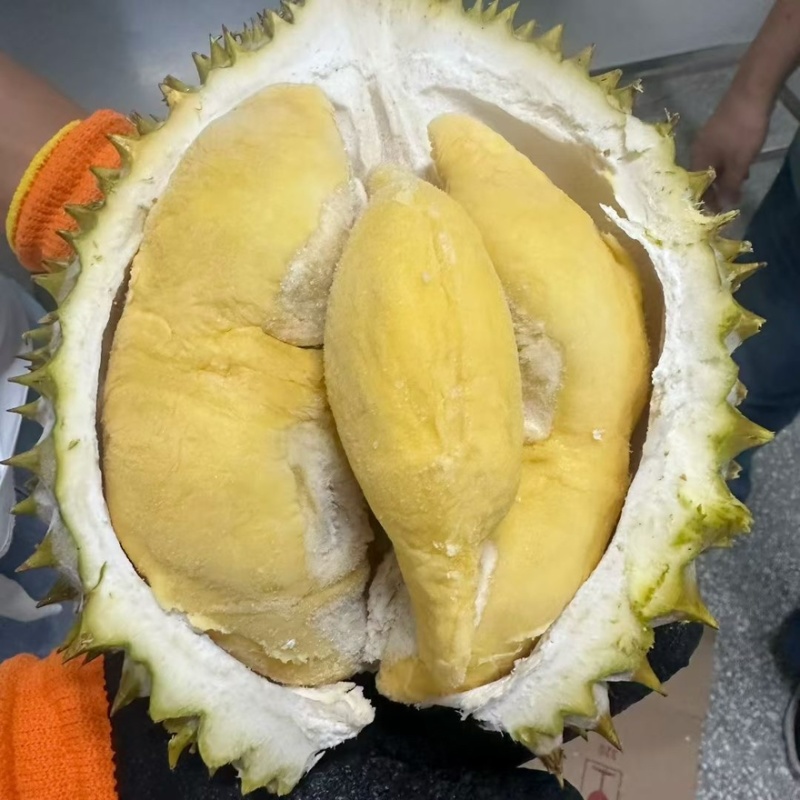 干尧液氮榴莲源头直供