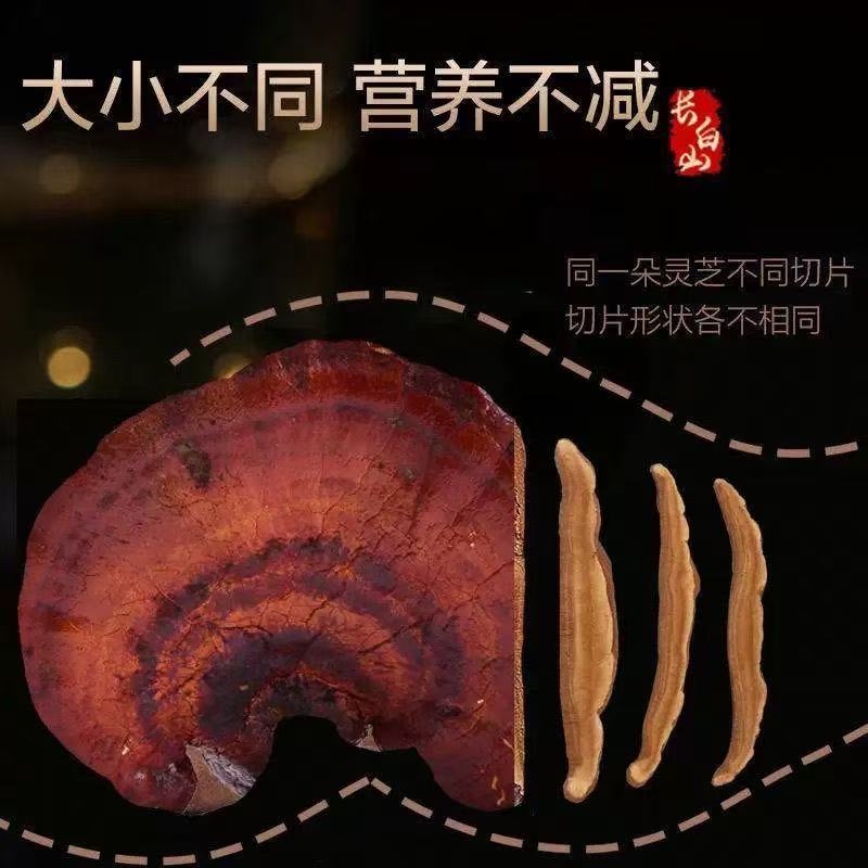 正宗紫灵芝药香十足产地直发药厂**数量有限