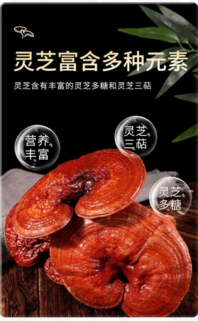 正宗紫灵芝药香十足产地直发药厂**数量有限