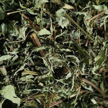 烘干绿色鬼针草（野生）