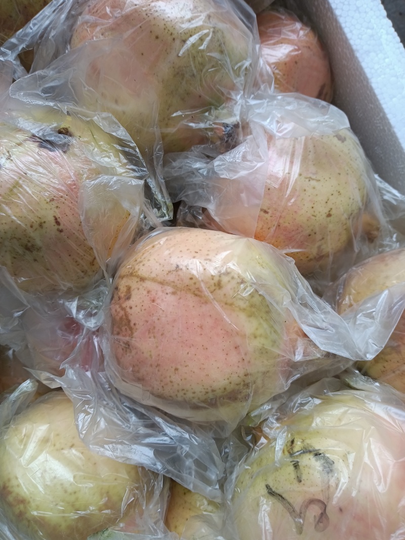 中秋节礼品。云南红河州蒙自市本地特产甜石榴（薄皮石榴）