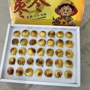 山西精品冬枣，大量供应，