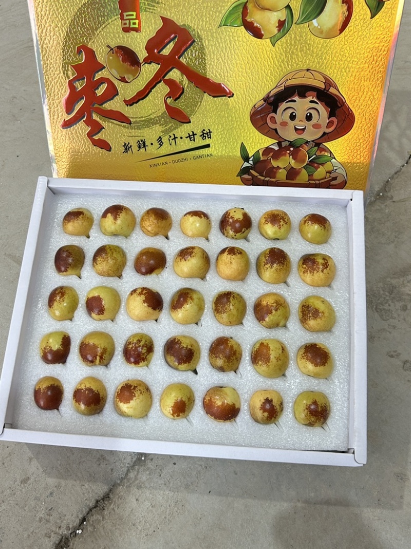 山西精品冬枣，大量供应，