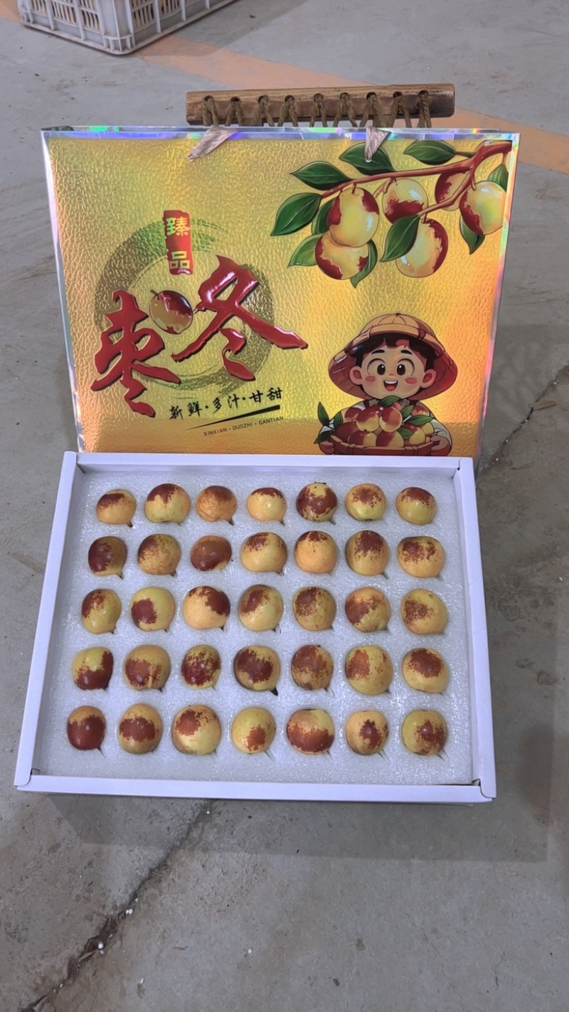 山西精品冬枣，大量供应，