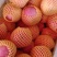 甘肃庆阳高原红富士