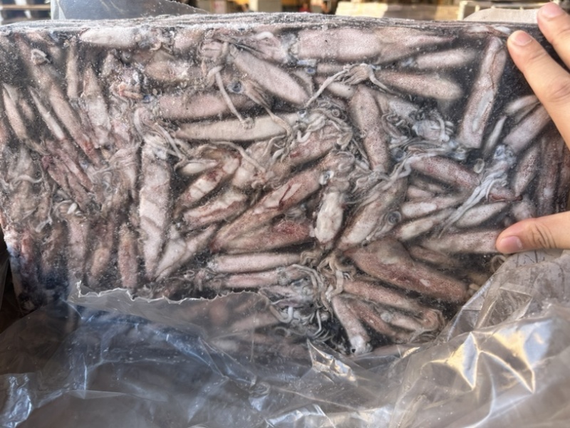 围网7号船冻鱿鱼东山小管一口管