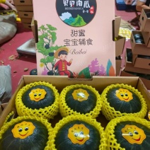 山东贝贝南瓜礼盒装大量现货欢迎各位老板联系