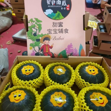 山东贝贝南瓜礼盒装大量现货欢迎各位老板联系