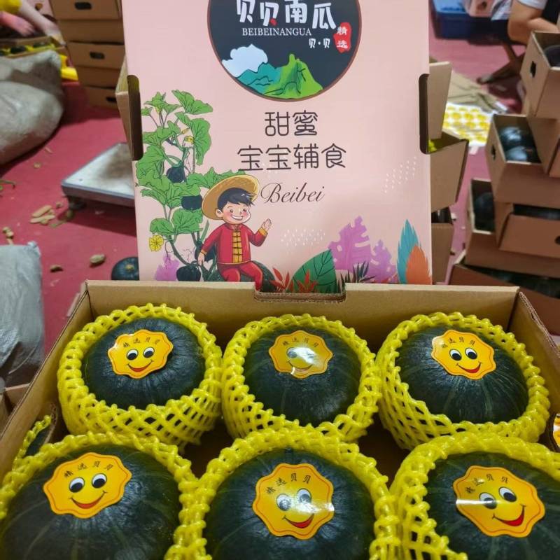 山东贝贝南瓜礼盒装大量现货欢迎各位老板联系