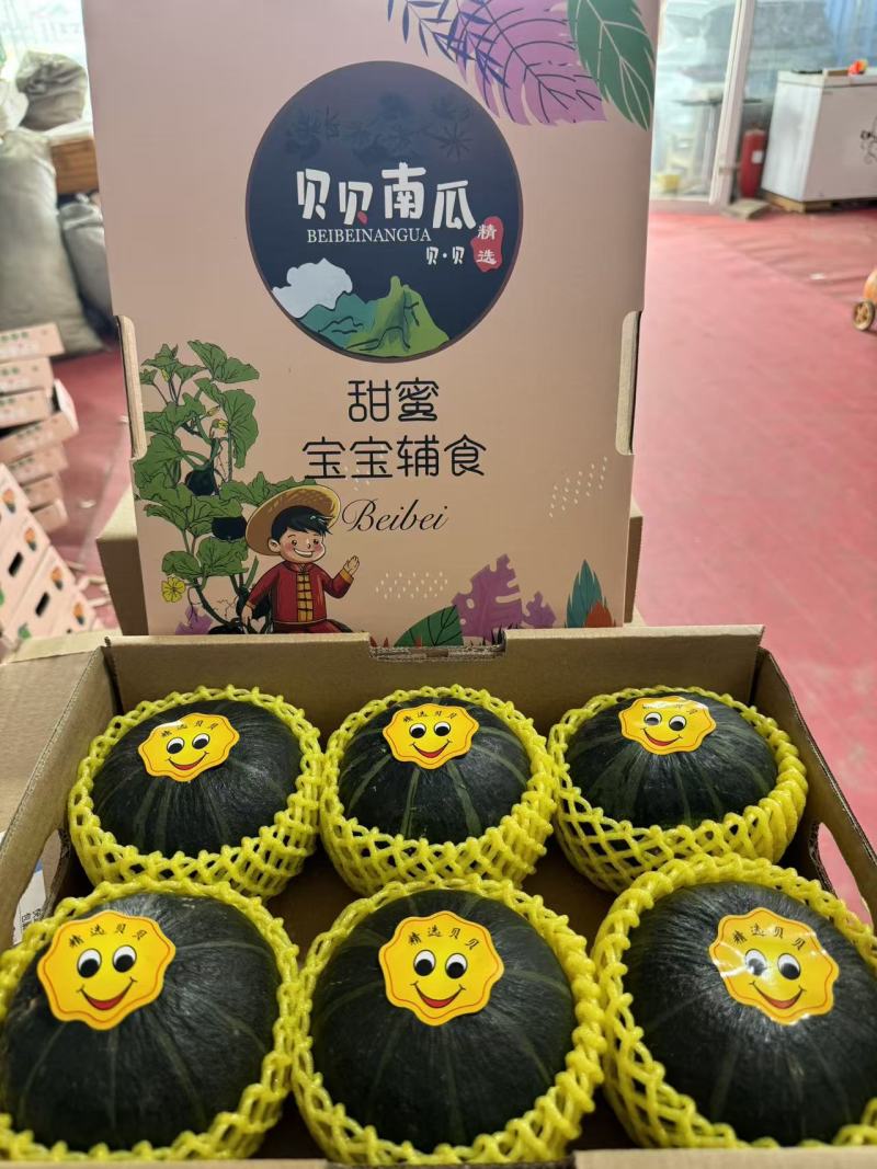 山东贝贝南瓜礼盒装大量现货欢迎各位老板联系