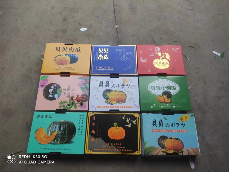 山东贝贝南瓜礼盒装大量现货欢迎各位老板联系