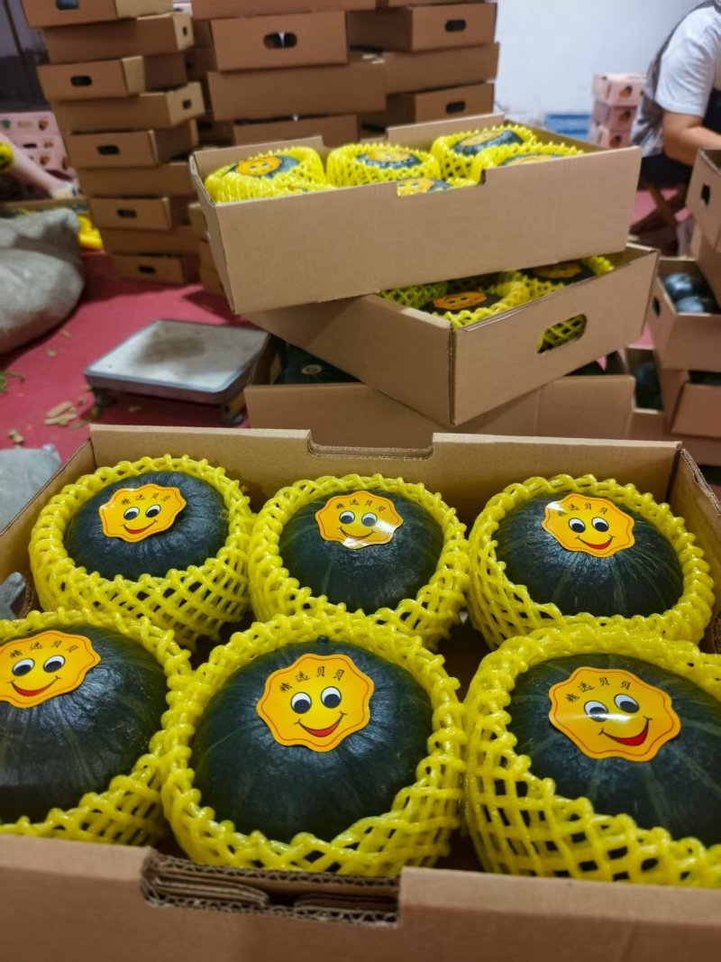 山东贝贝南瓜礼盒装大量现货欢迎各位老板联系