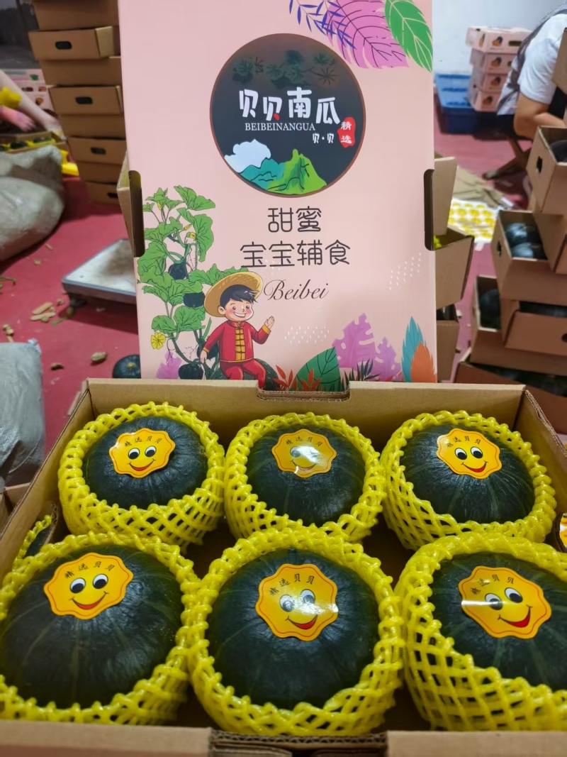 山东贝贝南瓜礼盒装大量现货欢迎各位老板联系