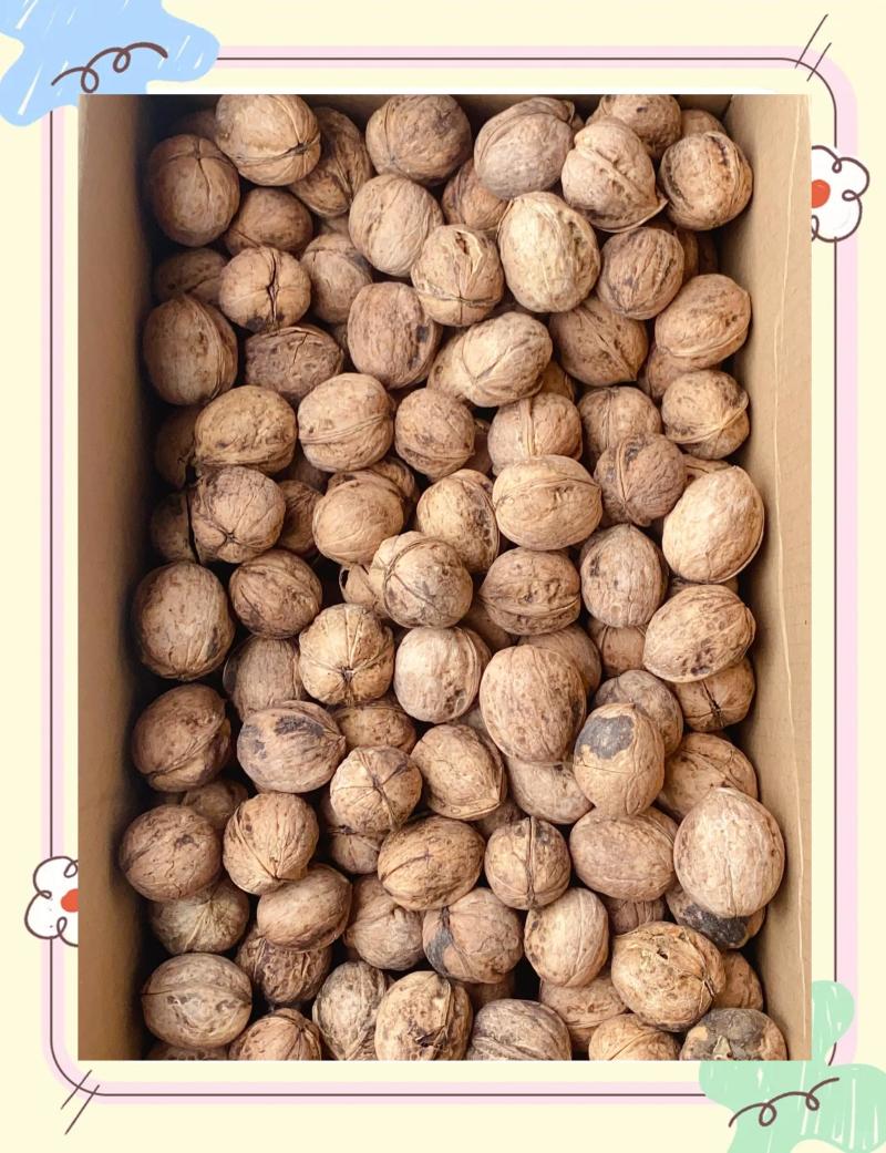 阿克苏185薄皮核桃