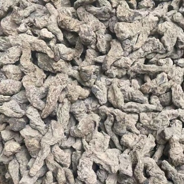 生地中药材生地大三大量上市，量大价格从优，可视频看货