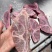 满肉扇条骨