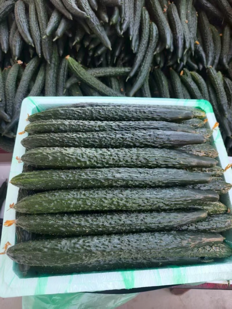 黄瓜