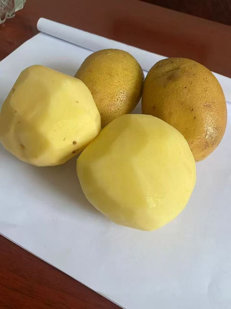 高原土豆，高寒土豆，绿色植物，土豆粉量大，沙土地，特产
