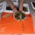 阳澄湖大闸蟹/产地直发，各种规格礼盒可选，全国发货