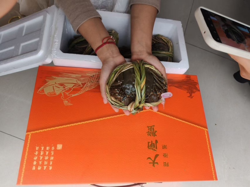 阳澄湖大闸蟹/产地直发，各种规格礼盒可选，全国发货