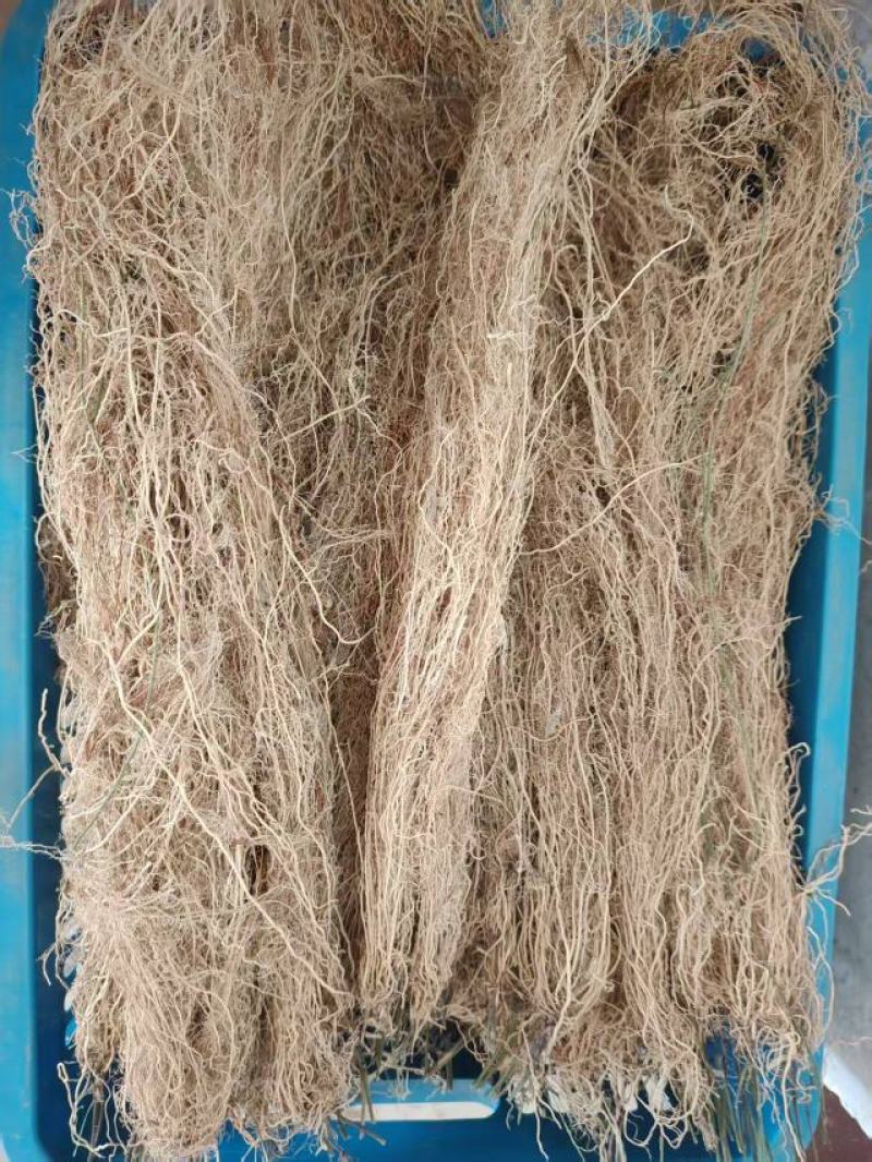 养肝草大量上市，产地直发，品质保证，服务周到，诚信经营