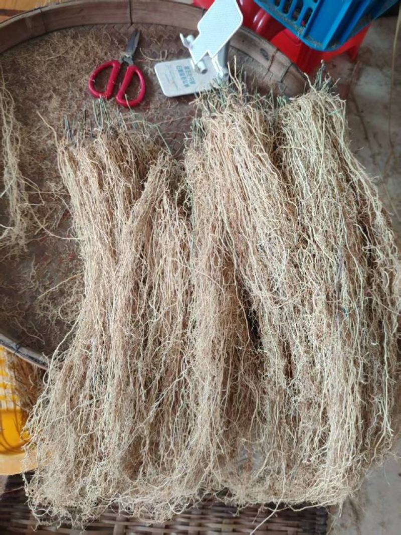养肝草大量上市，产地直发，品质保证，服务周到，诚信经营