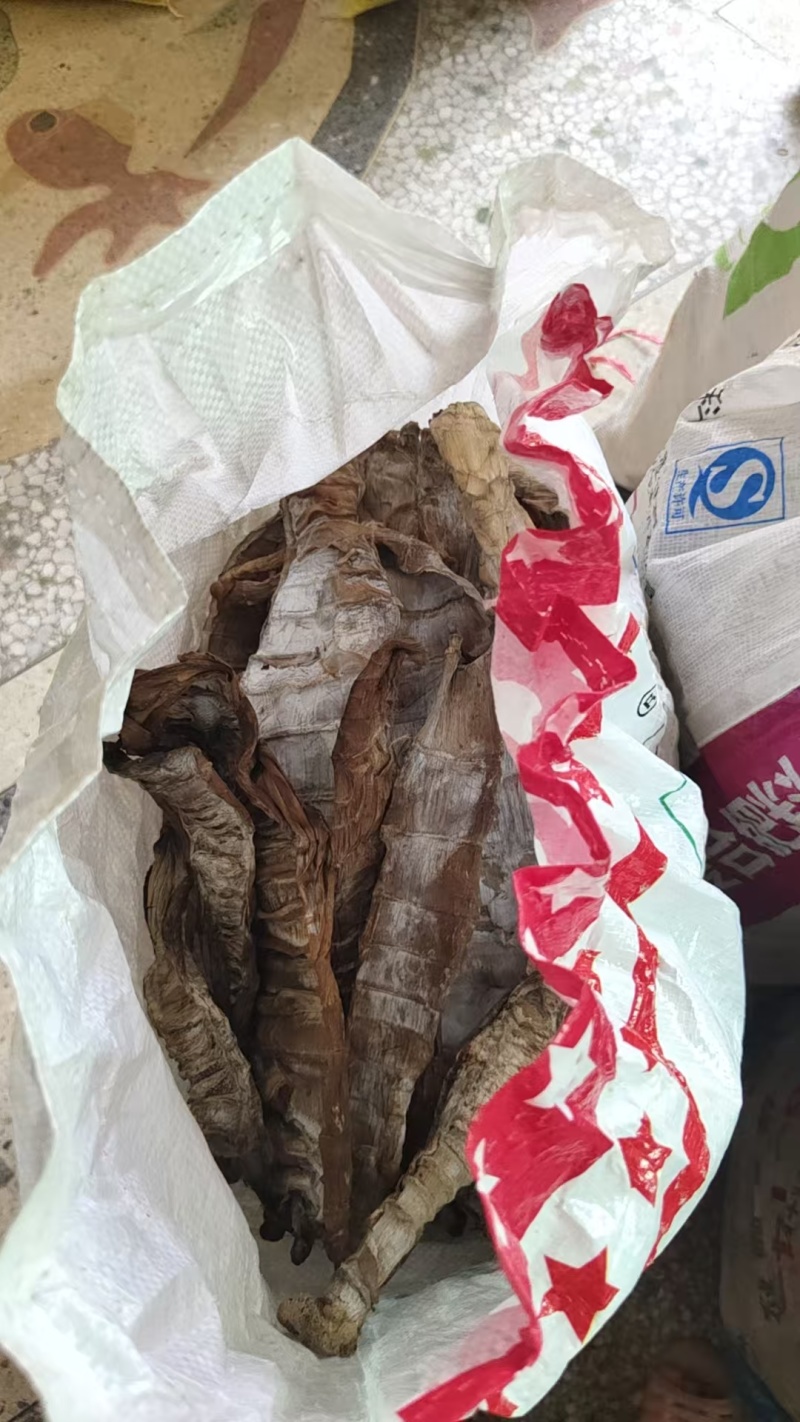 江西笋干自产自销大量现货供应，规格齐全，可视频看货