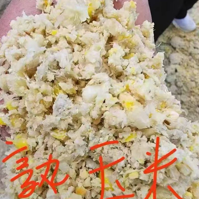 熟玉米料