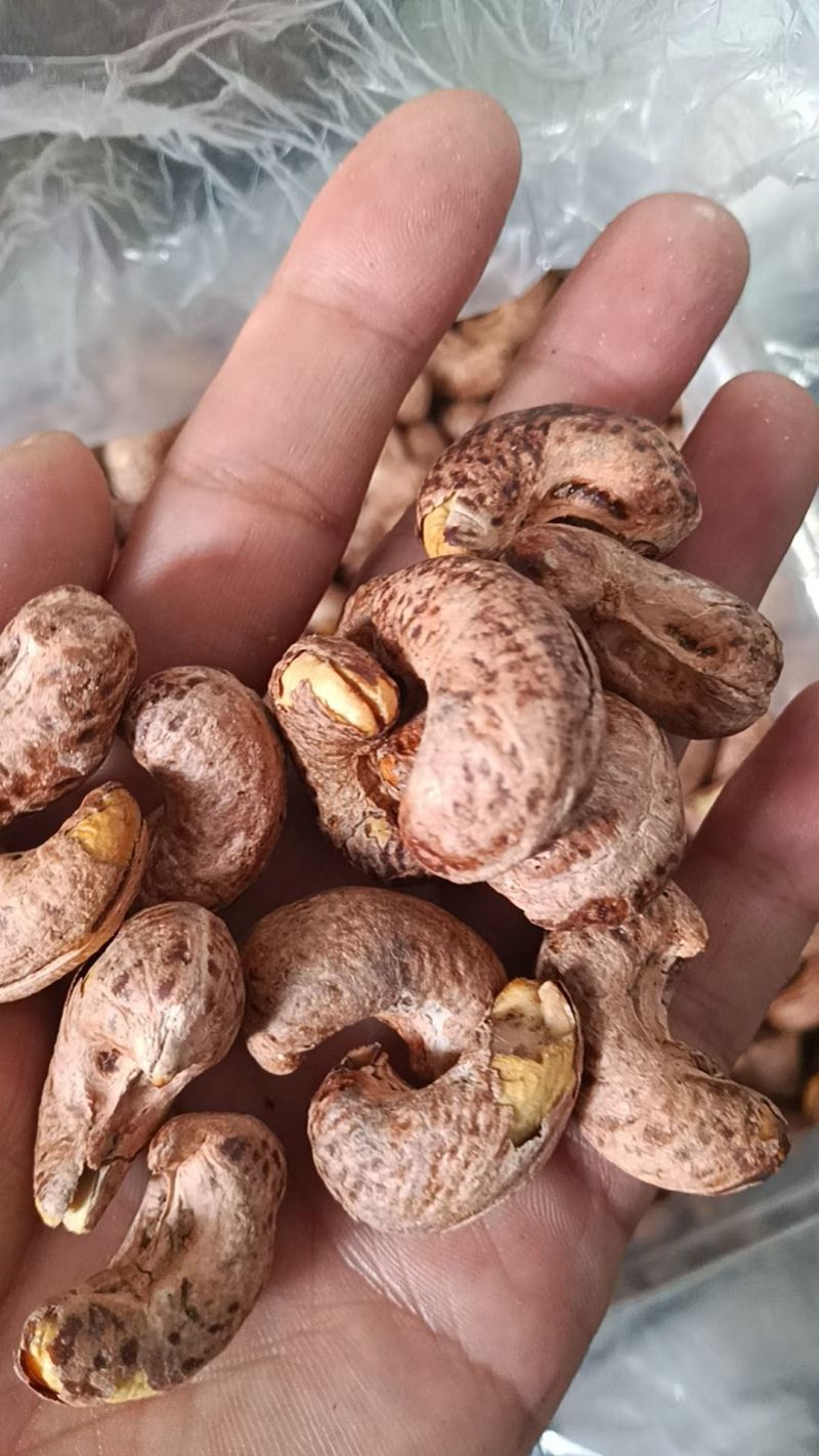 新货腰果，大量有货，价格便宜