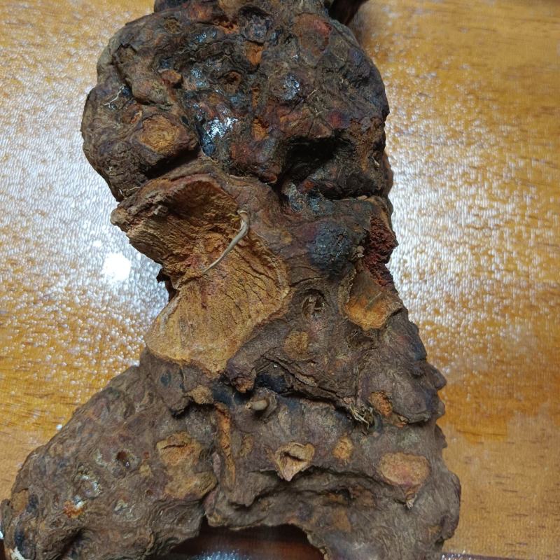 红肉土茯苓