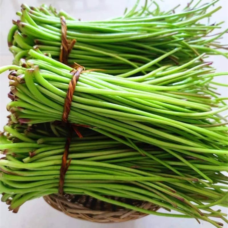 红薯杆鲜货