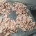 102个左右大翅根30吨，袋装