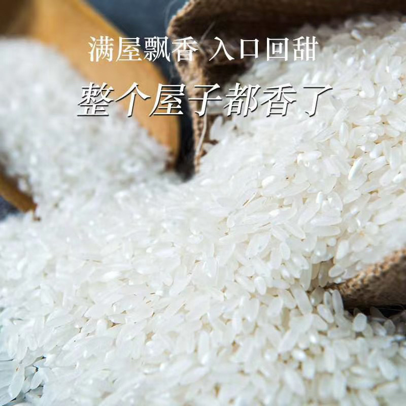 正宗五常大米稻花香价格超低五常产地直发