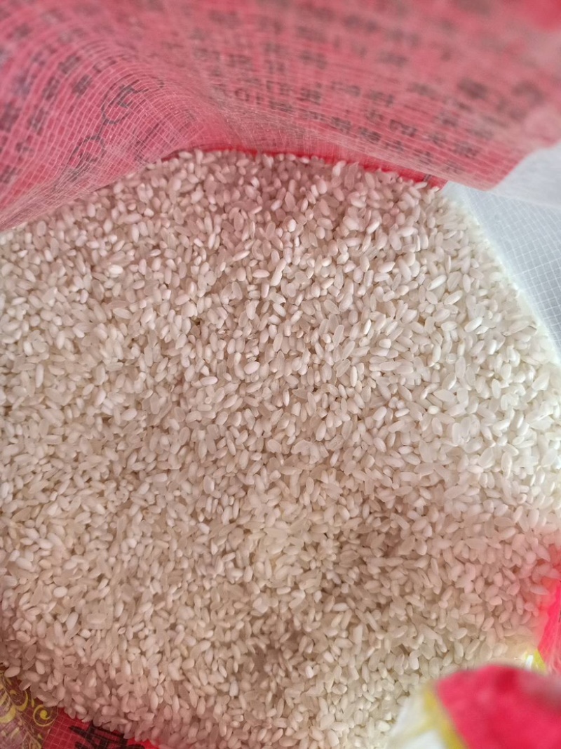 正宗五常大米稻花香价格超低五常产地直发