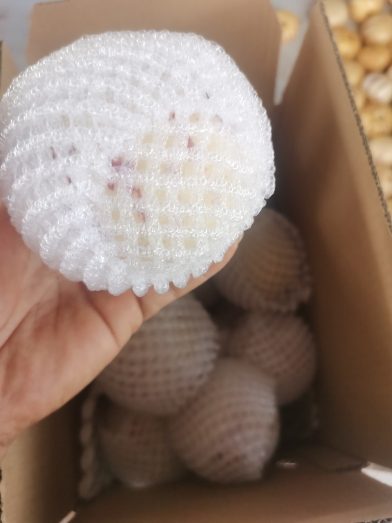 云南石林人参果一件代发