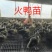 【提前订苗】火鸭苗协助装车成活率高进店联系