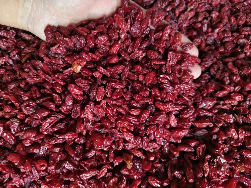 山茱萸中药材山萸肉精选枣皮新货无核散装批发
