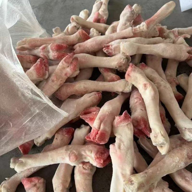 白羊蹄