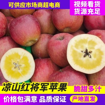 四川苹果精品红将军现摘现发货源充足口感脆甜对接全国市场