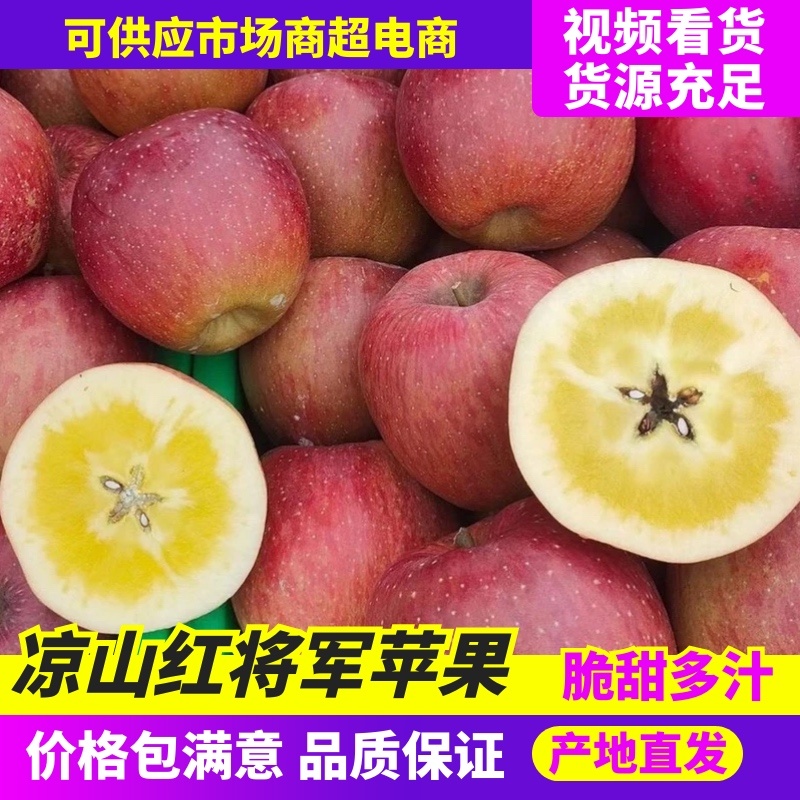 四川苹果精品红将军现摘现发货源充足口感脆甜对接全国市场
