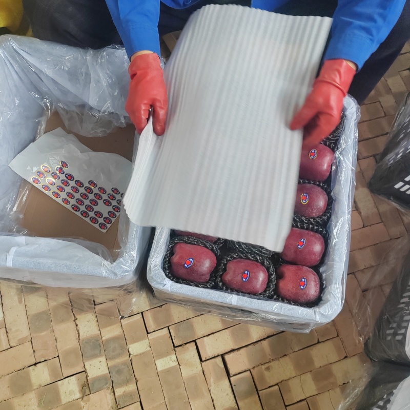 甘肃蛇果，高海拔地区种植硬度强口感好对接各种平台