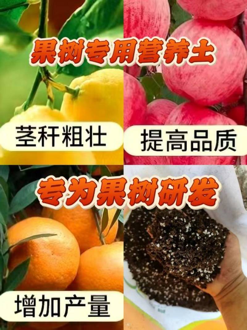 育苗基质营养土适合蔬菜瓜果专业育苗基质